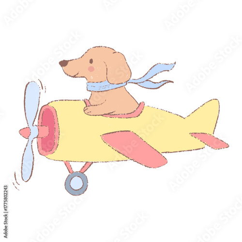 Cute dachshund flying a small airplane. Adventure and travel concept isolated on white.