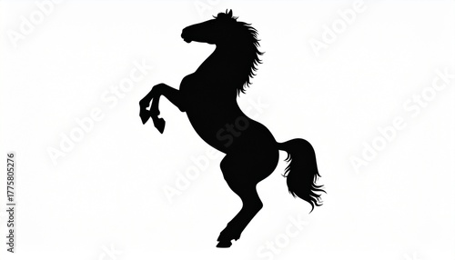 silhouette of a horse standing on the hind legs