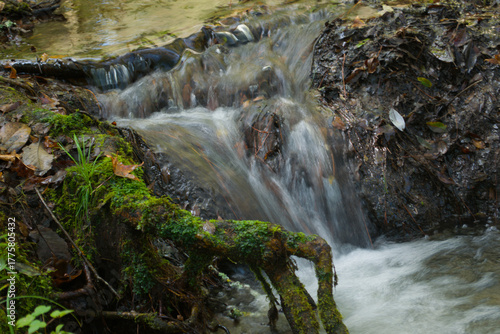 tiny waterfall in the forest