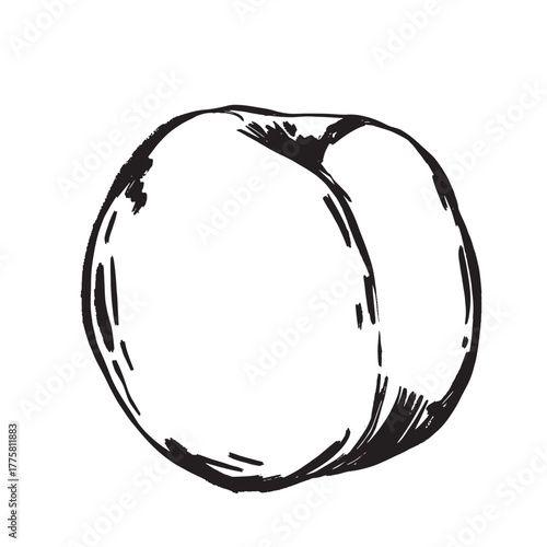 Line art illustration of nectarine for packaging and label design