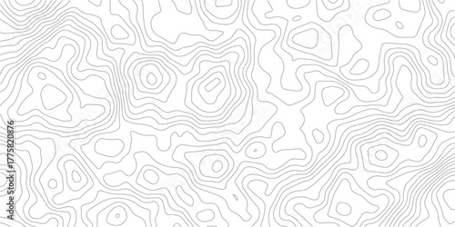 Topography background. Vector banner. Topography map background. Vector geographic contour map. Background of the topographic map. Topographic map lines, contour background.	