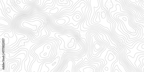 Topography background. Vector banner. Topography map background. Vector geographic contour map. Background of the topographic map. Topographic map lines, contour background.	
