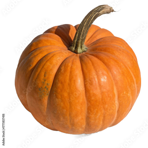 Orange pumpkin isolated on transparent background