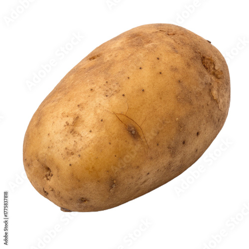 Russet potato isolated on transparent background