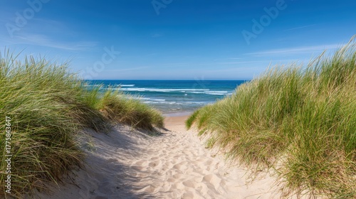 Sandy Path Leading to a Tranquil Beach with Ocean View, Clear Blue Sky, and Lush Greenery