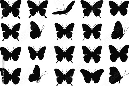 Butterfly silhouette collection, insect shapes, minimalist vector, black wings, nature icons, entomology art, flying bugs, graphic set, wildlife design, taxonomy