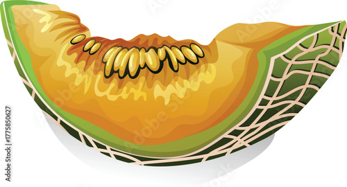 cutaway sliced cantaloupe sweet melon