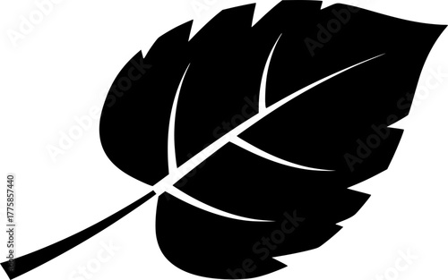 Monstera - Minimalist and Flat Logo - Vector illustration
