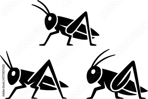 Vector illustration, 3 Grasshopper Icons, black color