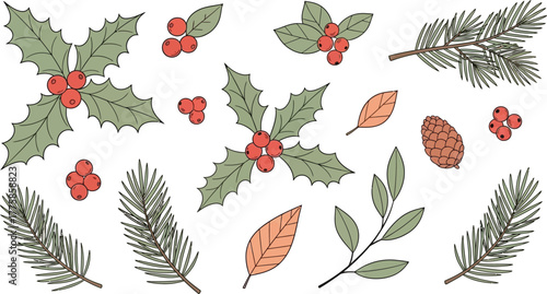 Botanical with Holly Berries, Pine Sprigs, Leaves and a Cone on White