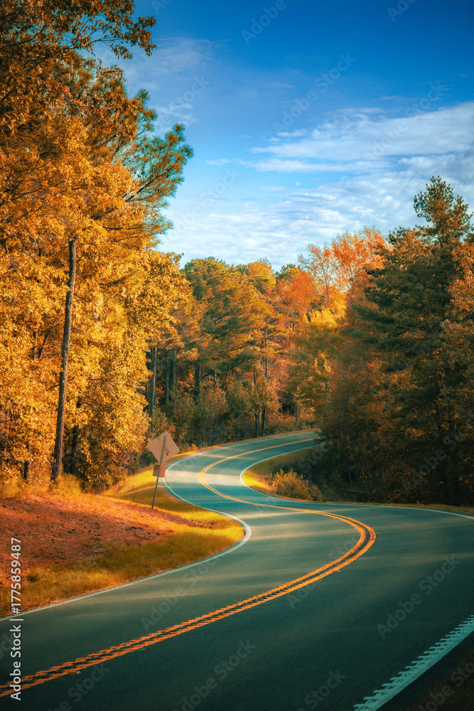 Obraz premium road in autumn