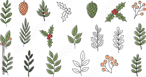 Christmas Botanical Doodle Holly Berries, Leaves, Pinecone on White