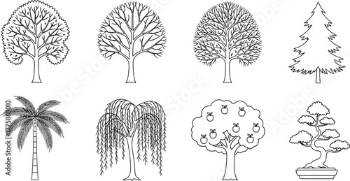 Different Tree Types Outline Deciduous, Apple Tree, Palm, Weeping Willow
