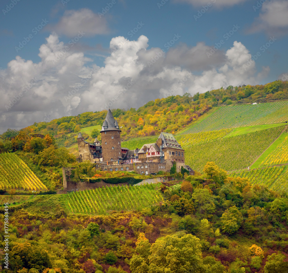 Obraz premium Gorgeous vineyards of the town of Bacharach am Rhein, Rhineland-Palatinate, Germany