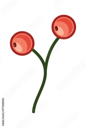 Red Christmas berry stem element