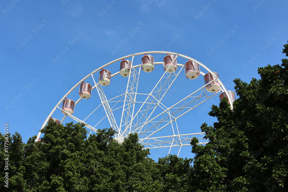 Fototapeta premium Reef Eye ferris wheel framed by a tree with a blue sky in Cairns, Queensland, Australia