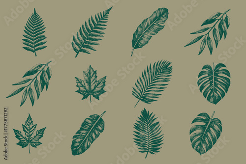 Vintage Leaves isolated stippling stamps set. Banana leaf, Fern, Maple leaf, Eucalyptus, Monstera leaf, Palm leaf vector illustration. Grunge autumn season magazine style collage element