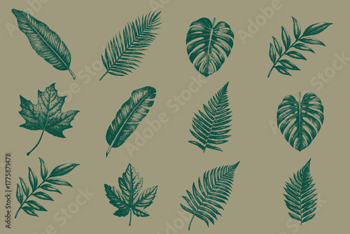 Halftone Monstera leaf, Palm leaf, Banana leaf, Fern, Maple leaf, Eucalyptus isolated stippling stamps set. Grunge autumn season retro  vintage magazine style collage elements vector illustration.