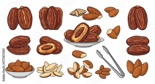 Hand-drawn collection of dried dates almonds and Brazil nuts whole and halved with kitchen tongs.