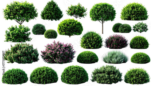 Diverse collection of various shrub shapes and colors on black