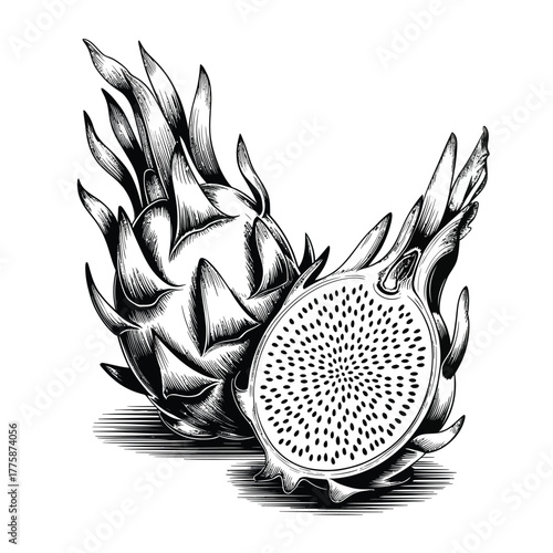 Black and white illustration of a whole and halved dragon fruit