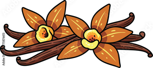 Vanilla Bean Pods And Blossoms With Brown And Orange Colors On White Background