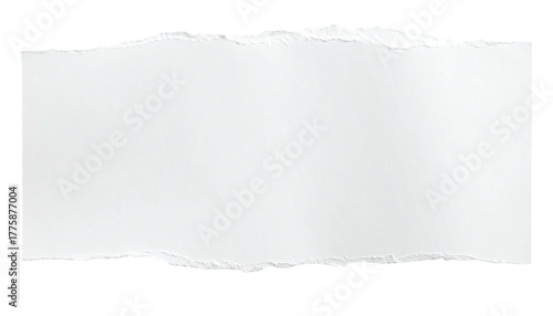 Torn piece of white paper, rough edges, blank rectangle shape