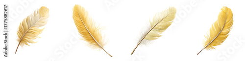 Golden Watercolor Feathers: Elegant Plume Collection