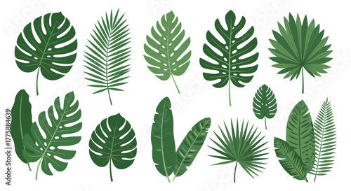 A vibrant collection of diverse green tropical leaves and exotic foliage, perfect for summer designs, botanical illustrations, and nature-themed projects.