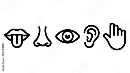 Five Senses Icons Tongue Nose Eye Ear Hand Icons