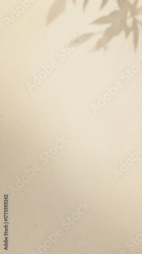 Wallpaper Mural 和紙の余白にやわらかな光と影 / Soft Light and Shadows on Washi Blank Space Torontodigital.ca