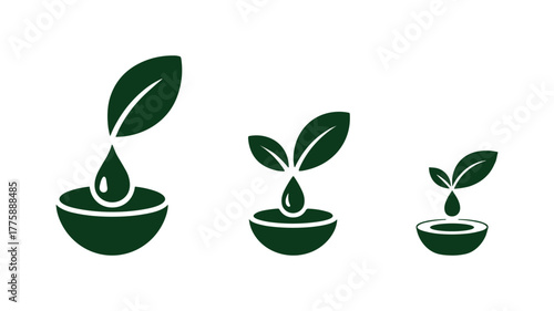 Three stages of plant growth with water drop icons