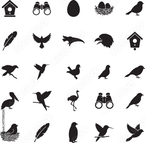 Bird Silhouette icon collection. Includes Silhouette symbols bird, feather, egg, nest, birdhouse, binoculars and more. Isolated icons. Bird icon set. 