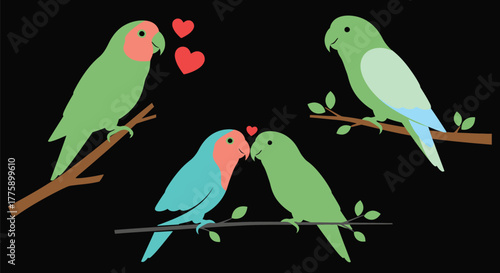 Lovebirds illustration parrots valentine birds romance vector art