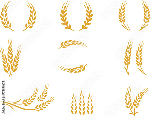 Wheat and barley ears collection vector set with harvest grain, rice stalk and bread cereals isolated illustration, agriculture organic farming natural food products design