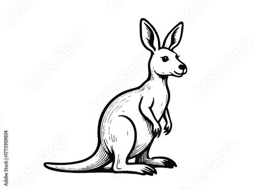 Simple illustration of a kangaroo. Monochrome. Line art. Animal. Australia.