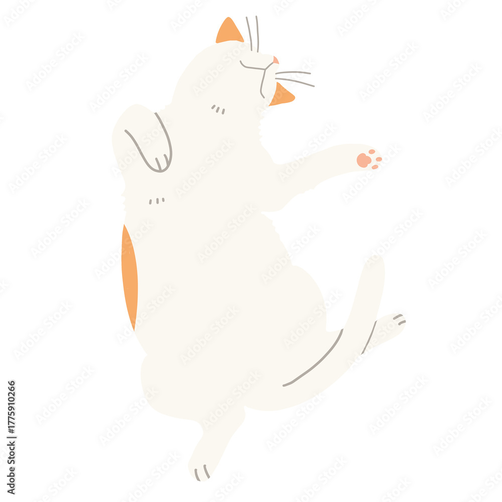 Fototapeta premium 仰向けになって眠る猫 イラスト