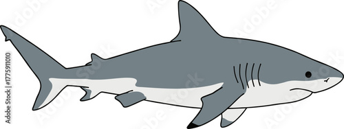 Simple Cartoon Style Shark Swimming in the Ocean Illustration