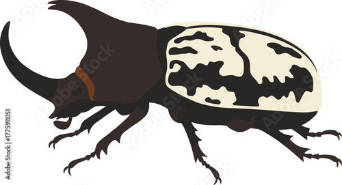 Detailed Flat Illustration of an Isolated Rhinoceros Beetle Insect Creature