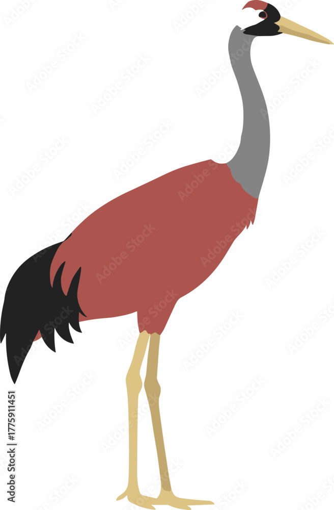 Fototapeta premium Simple Flat Illustration of a Elegant Red Crowned Crane Bird Icon