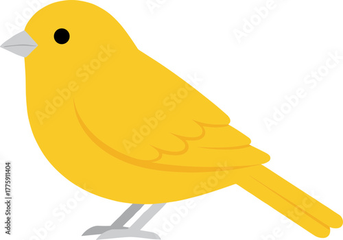 Simple Cartoon Yellow Canary Pet Bird Animal Illustration