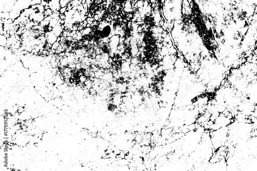 Fototapeta premium Abstract grunge black and white distressed texture background