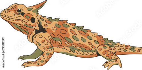 Detailed Line Art Thorny Devil Lizard Reptile Australian Wildlife Illustration