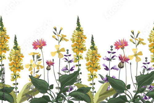 Vector floral seamless pattern, border