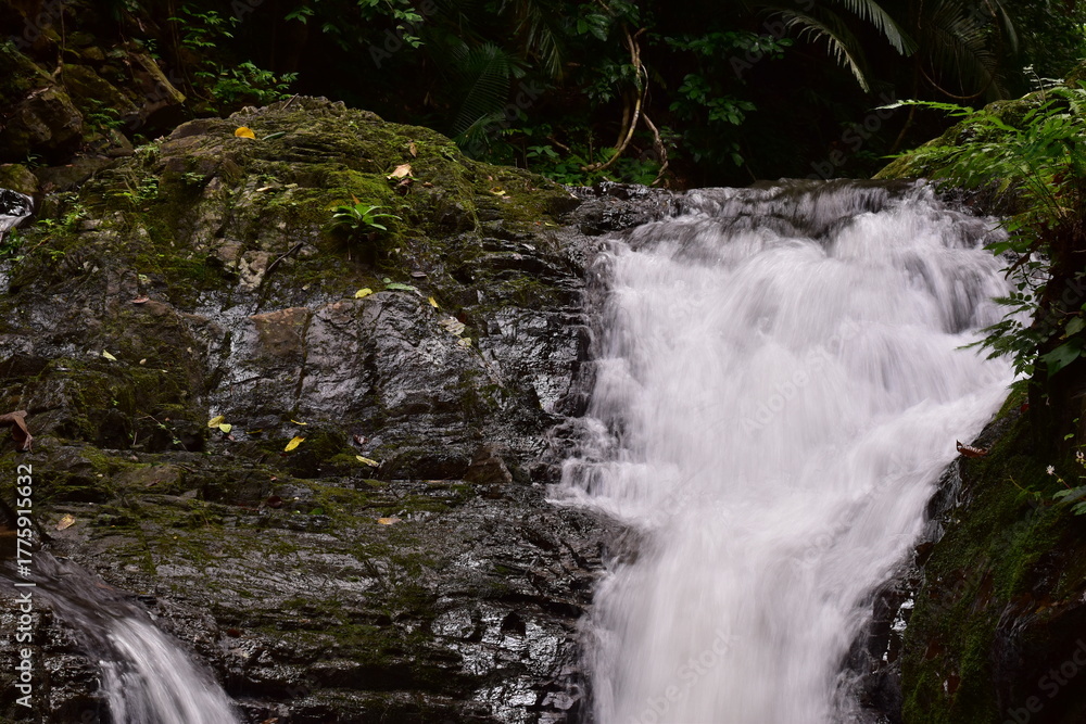 Fototapeta premium Huai To Waterfall is located in Khao Phanom Bencha National Park. It is the most beautiful waterfall in the park. Its source comes from the Phanom Bencha mountain range