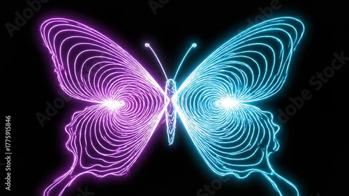 Vibrant Neon Butterfly Animation With Glowing Light Strokes.