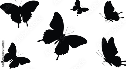 Beautiful black butterfly silhouettes isolated on white background, elegant flying insect shapes, minimalist vector illustration for design, nature and art projects