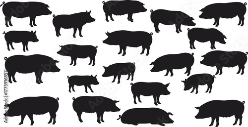 Pig silhouettes vector set showing various poses of domestic pigs and hogs, farm animal illustration for agriculture and livestock design.