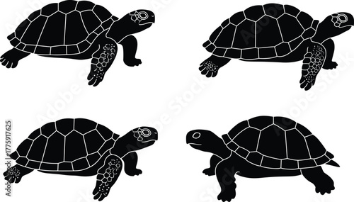 Turtle and tortoise silhouettes set, reptile animal vector illustration, black shell outline collection, slow walking creatures isolated on white background