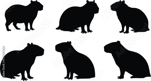 Capybara silhouette set, sitting and standing wildlife animal poses, vector illustration of nature rodent design isolated on white background